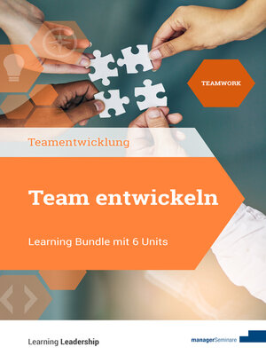 cover image of Team entwickeln